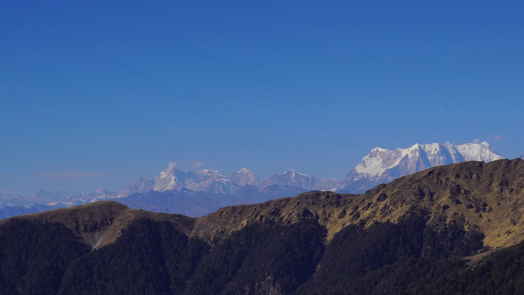 Wide Garhwal Himalayan panorama from the Ali Bugyal ridge