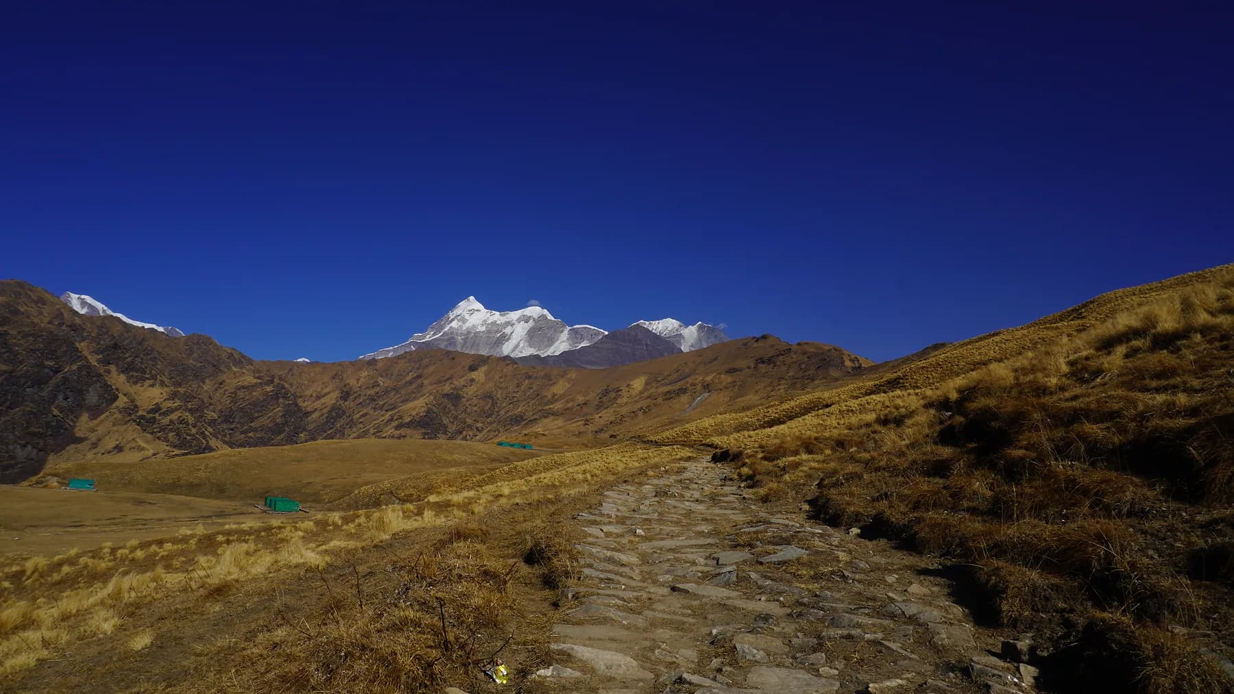 Stone trail crossing the golden meadow toward Bedni Bugyal with Trishul ahead