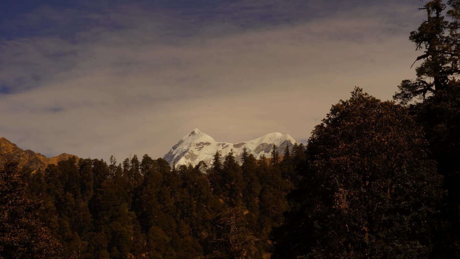 Trishul framed by dense Himalayan forest near the Ali Bedni trail