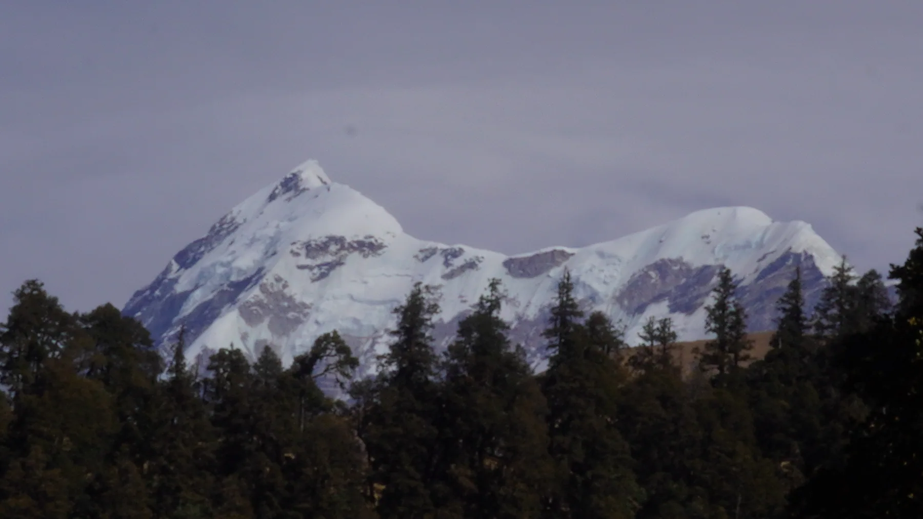 Snow-covered Trishul and Nanda Ghunti viewed above the forest