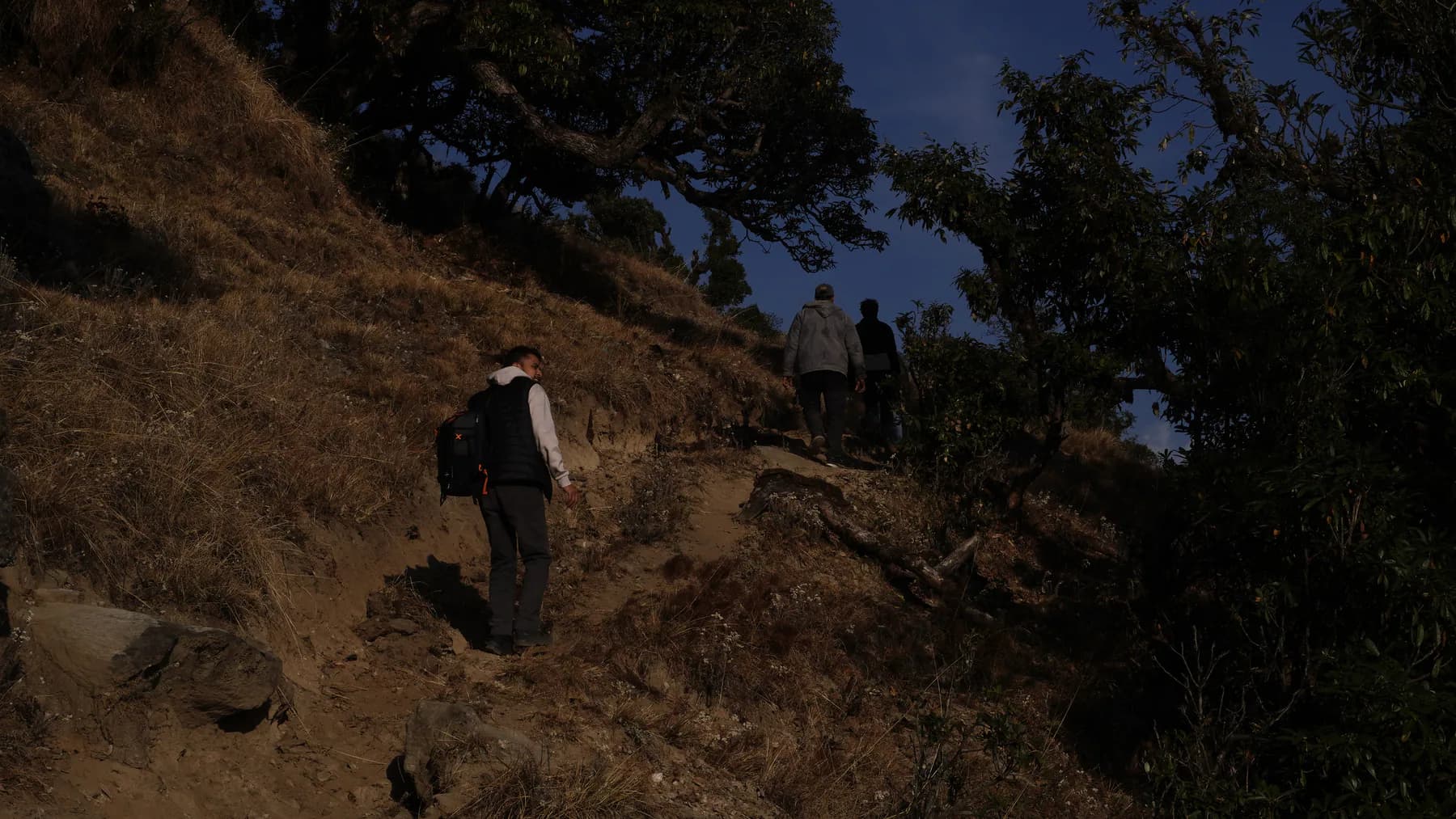Trekkers climbing through oak forest on the Deoriatal trail
