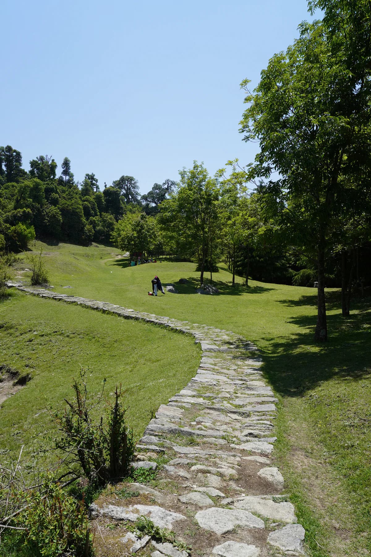 Stone trail crossing a green forest meadow on the Deoriatal route