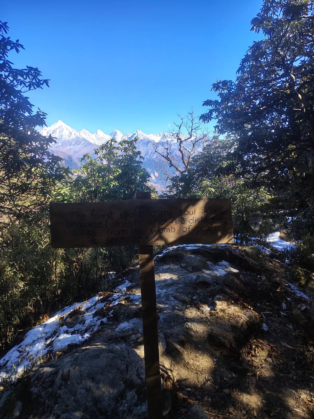 Panchachuli peaks framed by forest near the Khaliya trail