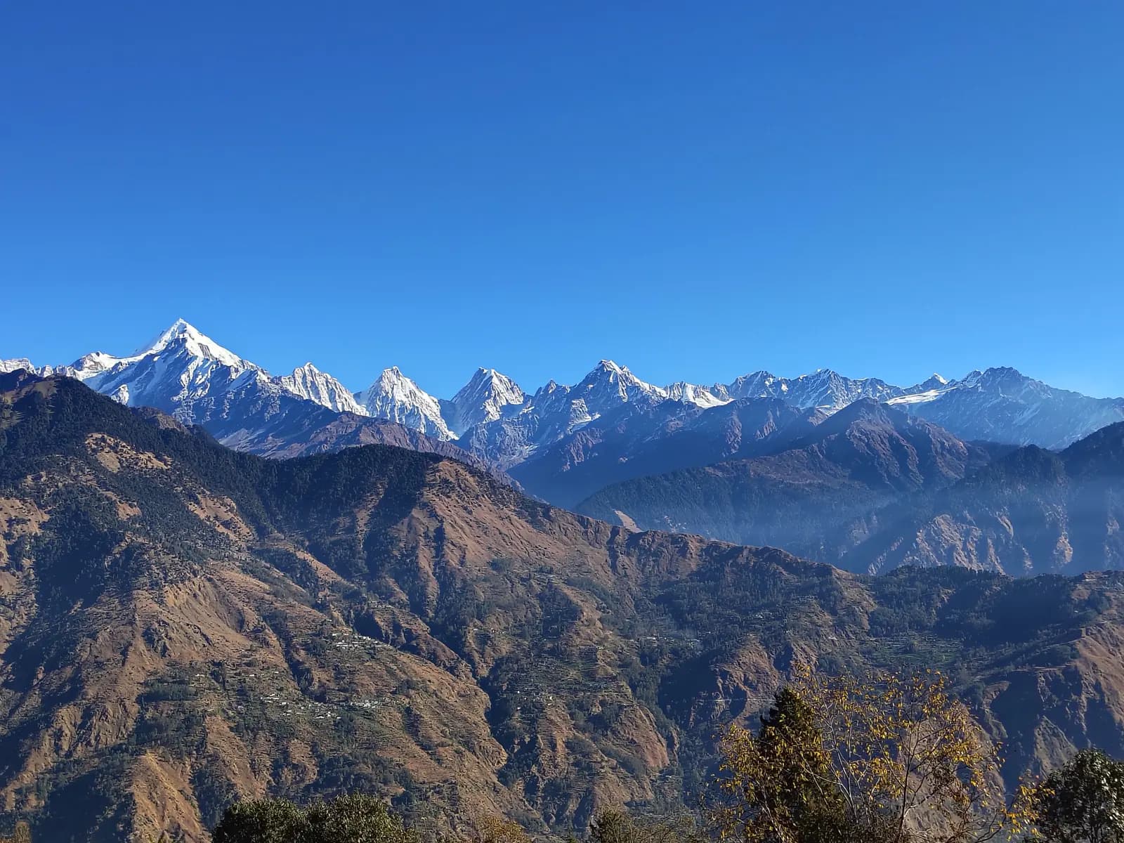 Snow-covered Panchachuli range viewed across the Munsyari valley