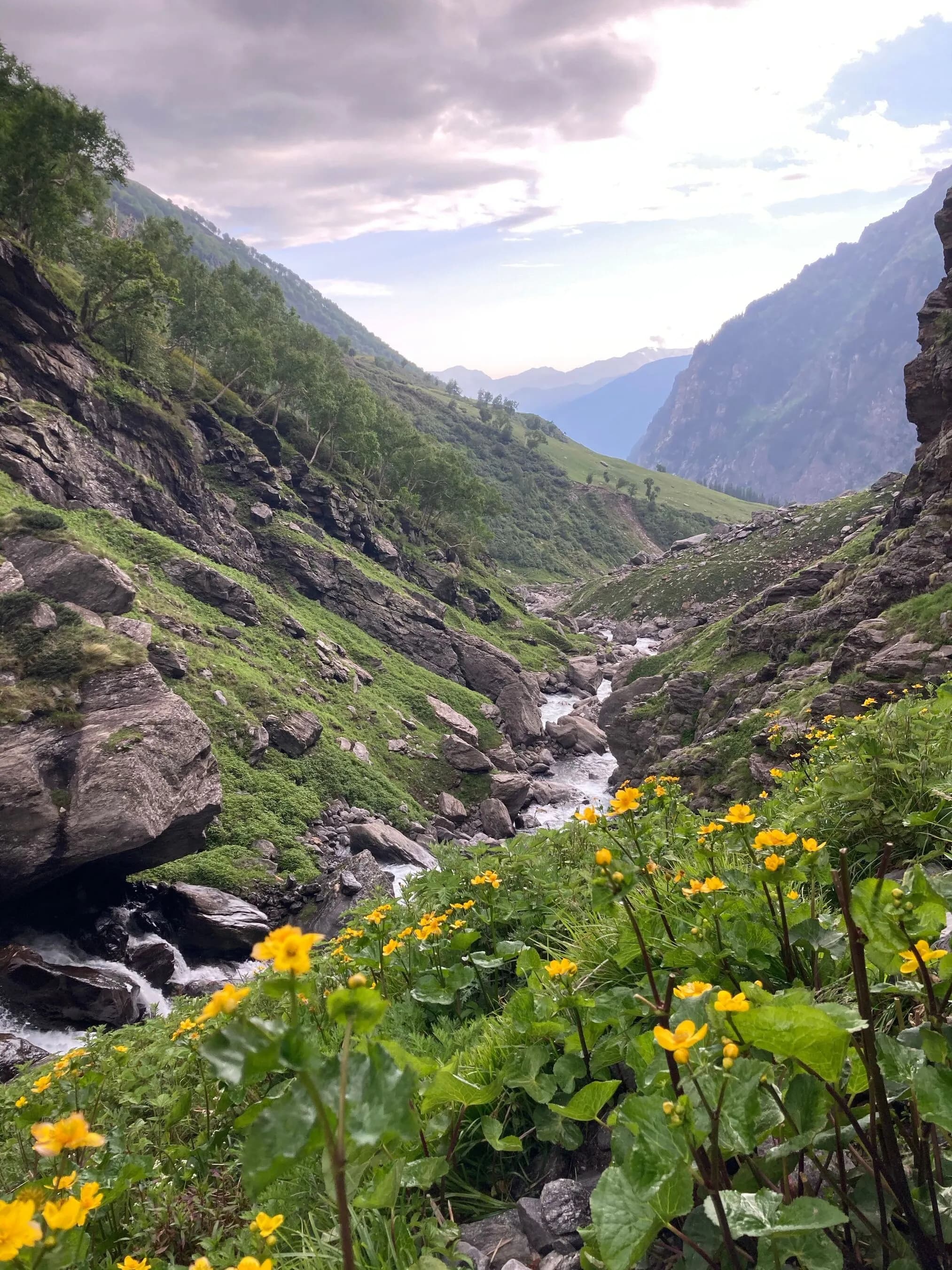 Valley of Flowers Trek landscape and trail view 1 of 6