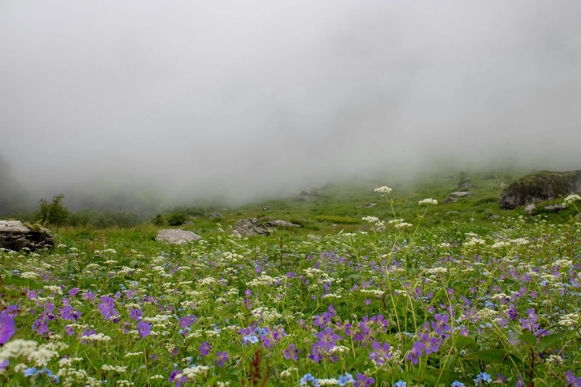 Valley of Flowers Trek landscape and trail view 2 of 6
