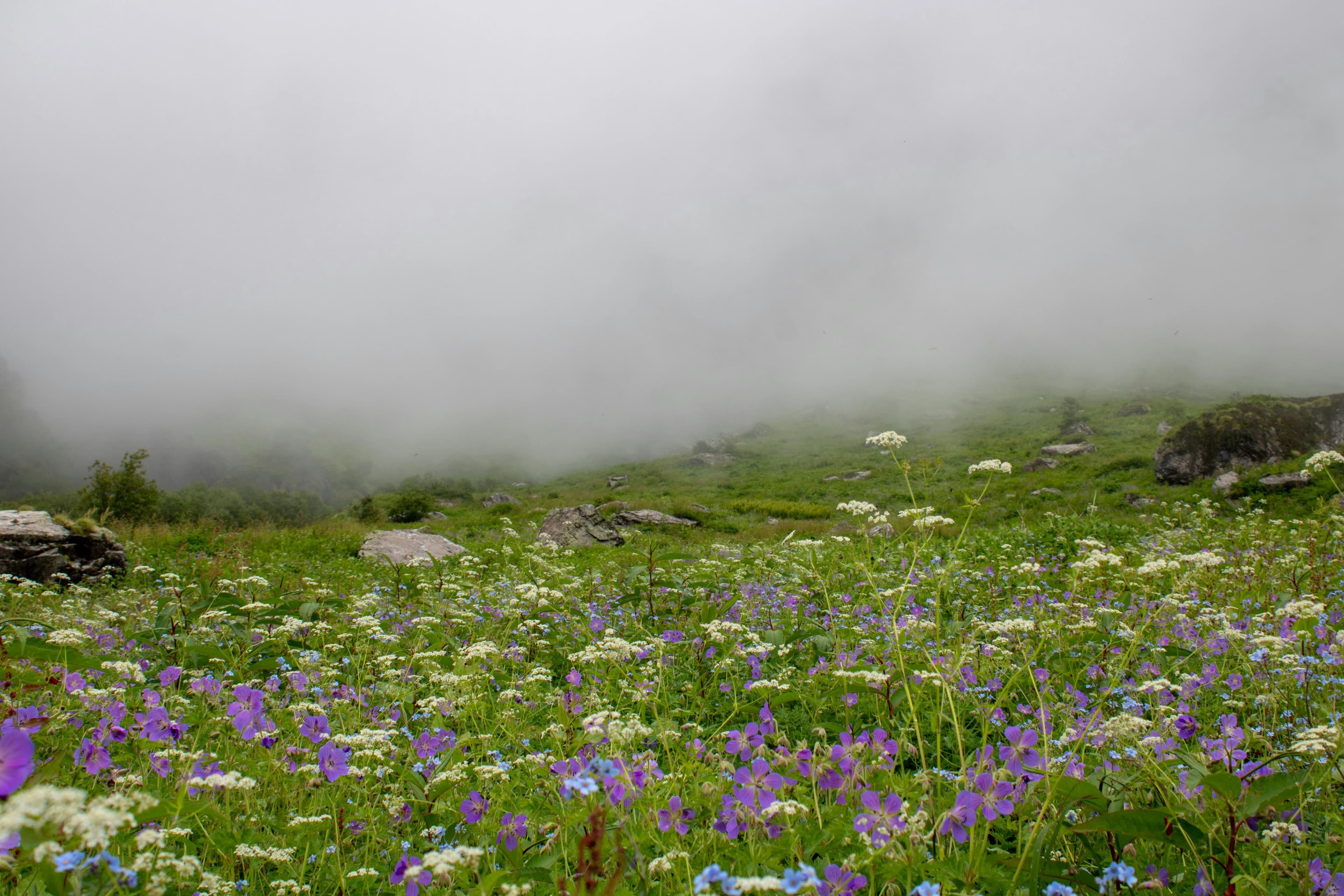 Valley of Flowers Trek landscape and trail view 2 of 6