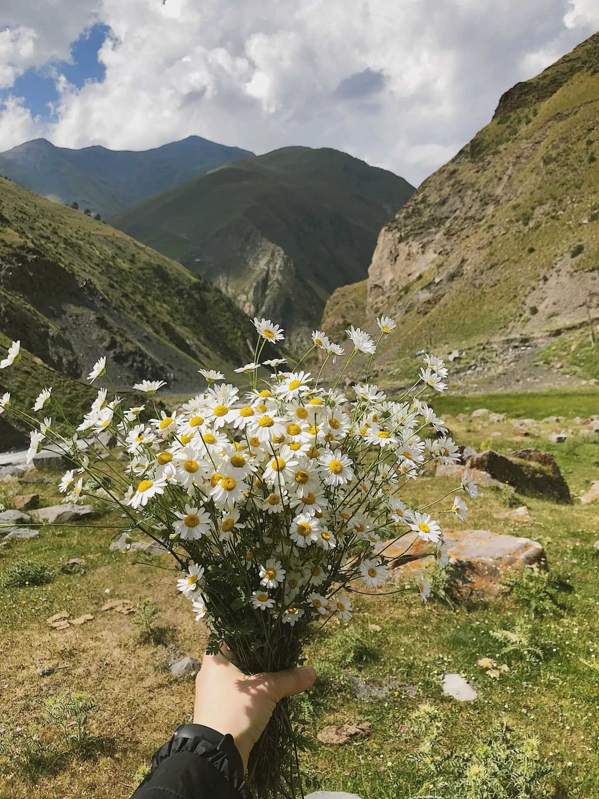 Valley of Flowers Trek landscape and trail view 4 of 6