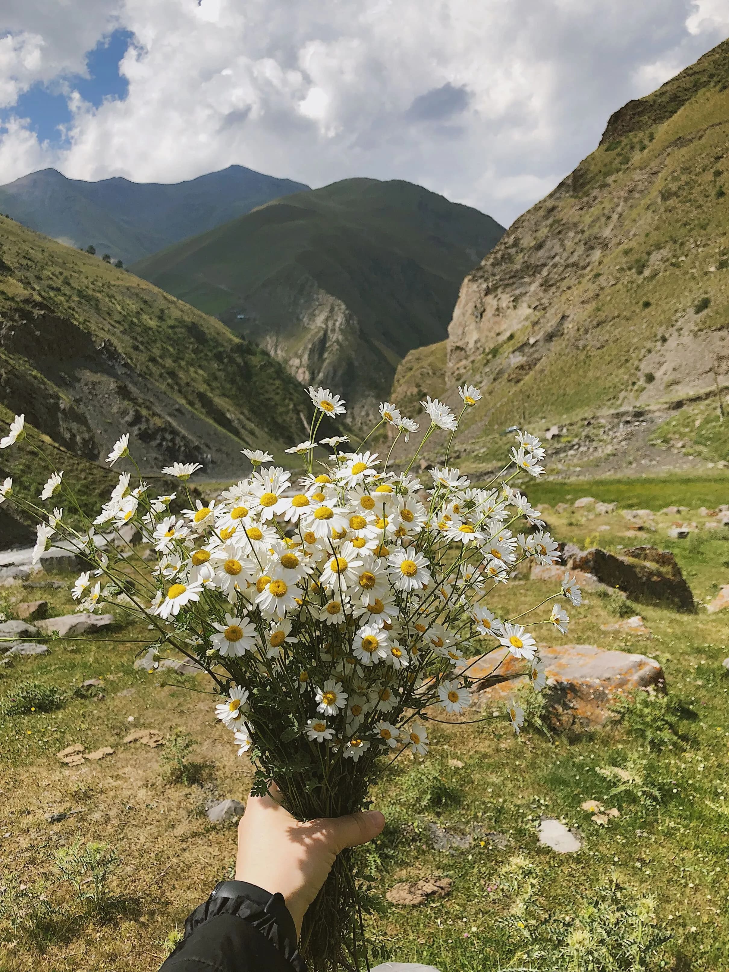 Valley of Flowers Trek landscape and trail view 4 of 6