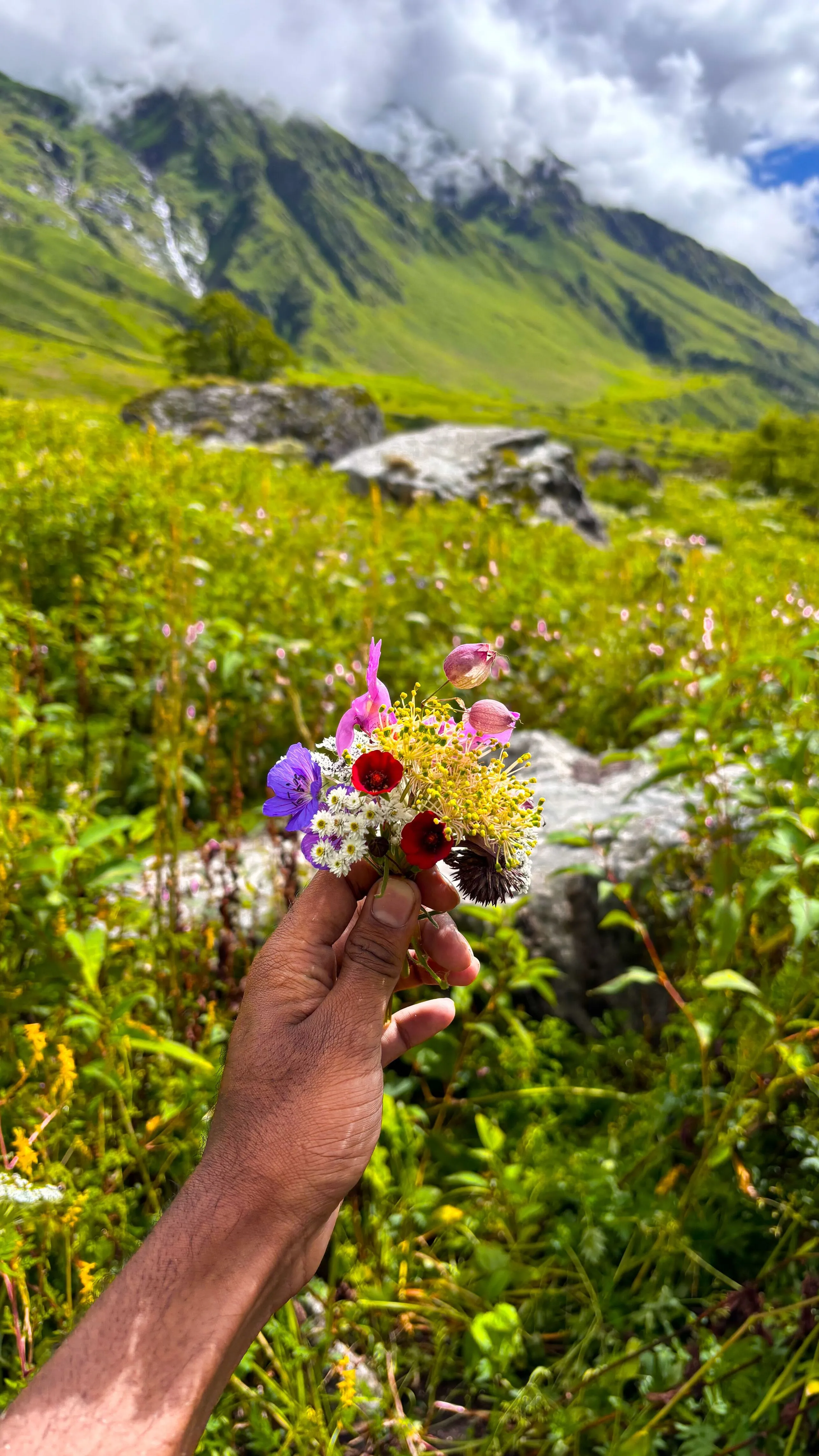 Valley of Flowers Trek landscape and trail view 5 of 6