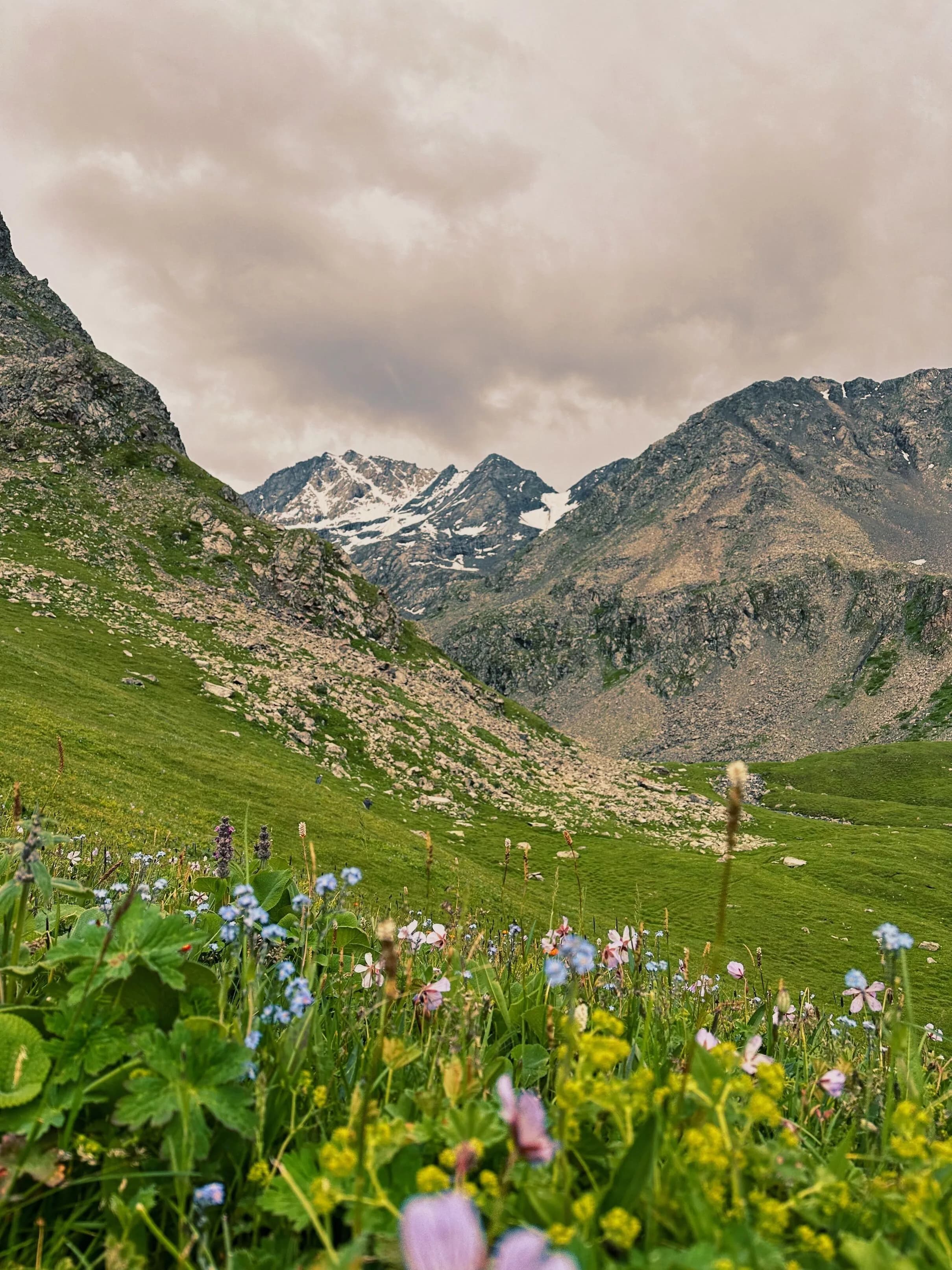 Valley of Flowers Trek landscape and trail view 6 of 6